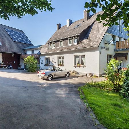 Ferienwohnungen Lindenhof Willingen  Zewnętrze zdjęcie