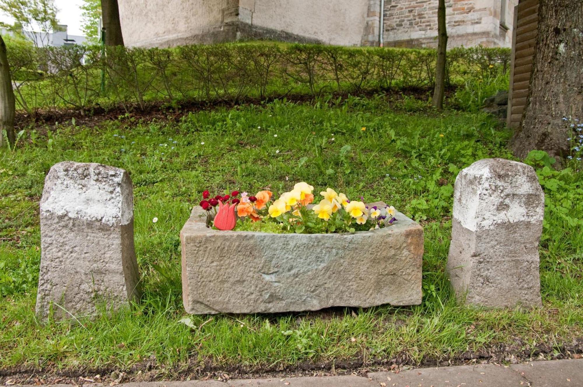 Ferienwohnungen Lindenhof Willingen  Zewnętrze zdjęcie